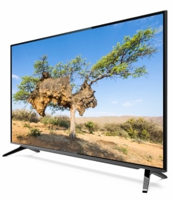 Google TV DLED Quantum Dot Film และรองรับ Vesa Mount